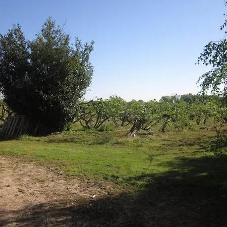 Tatil Evi Les Marronniers